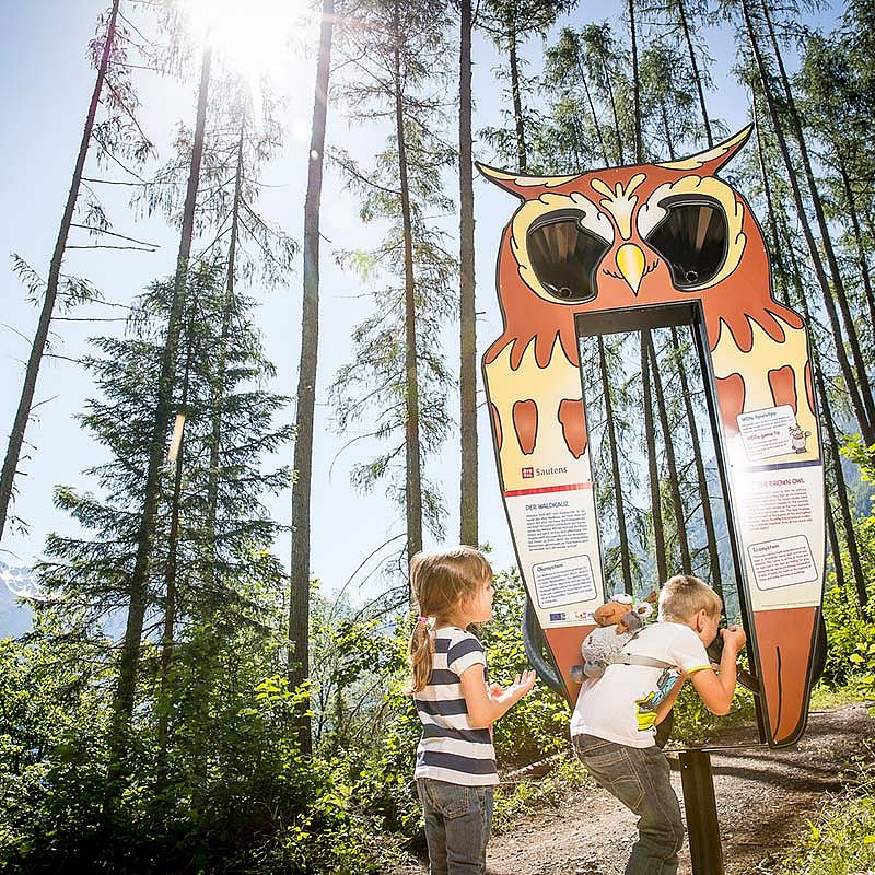 Enchanted forest
in Sautens