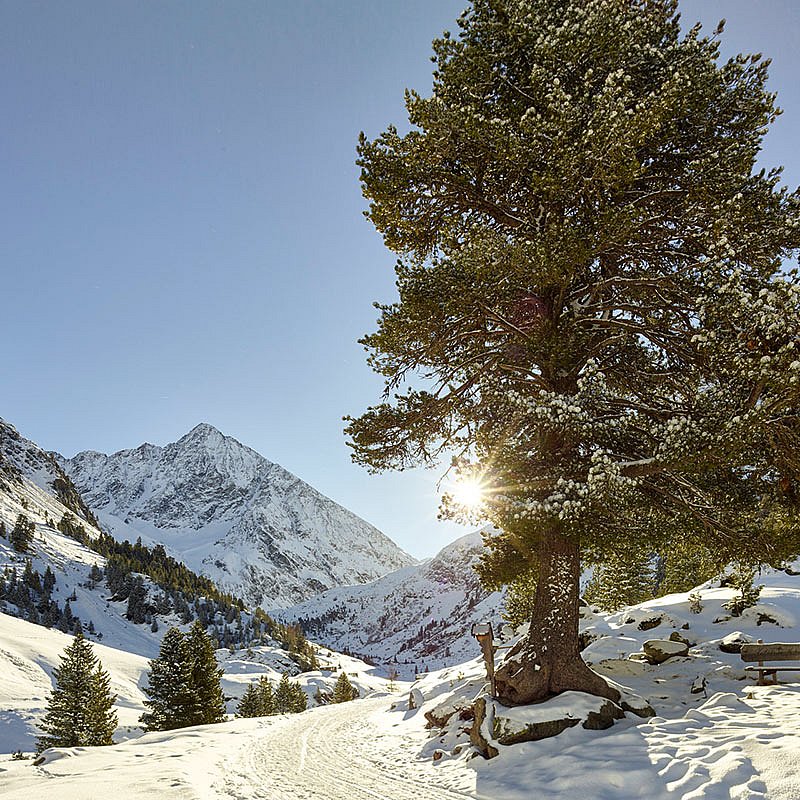 Unberührte
Natur