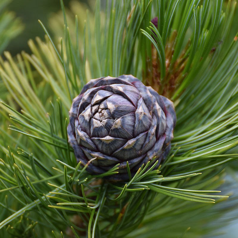 Naturvielfalt auf
ganzer Länge