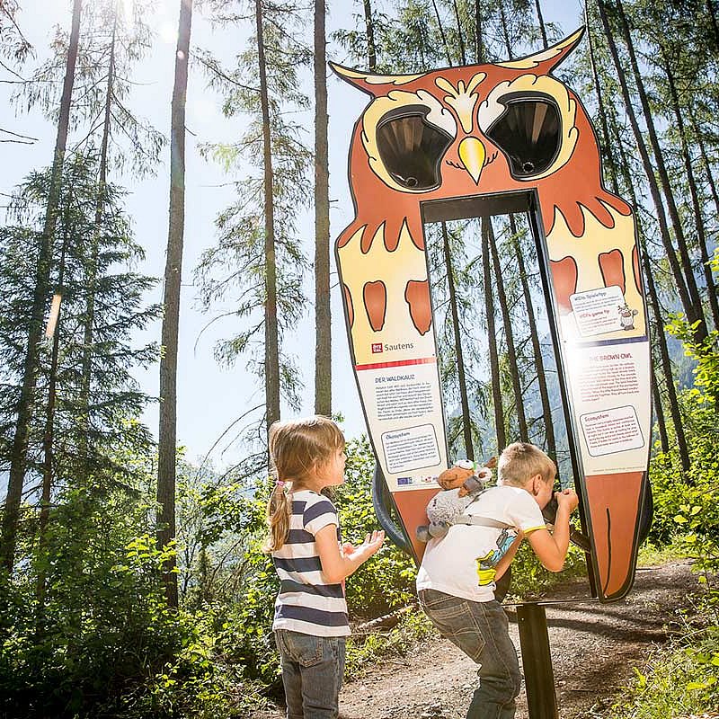 Enchanted forest 
in Sautens