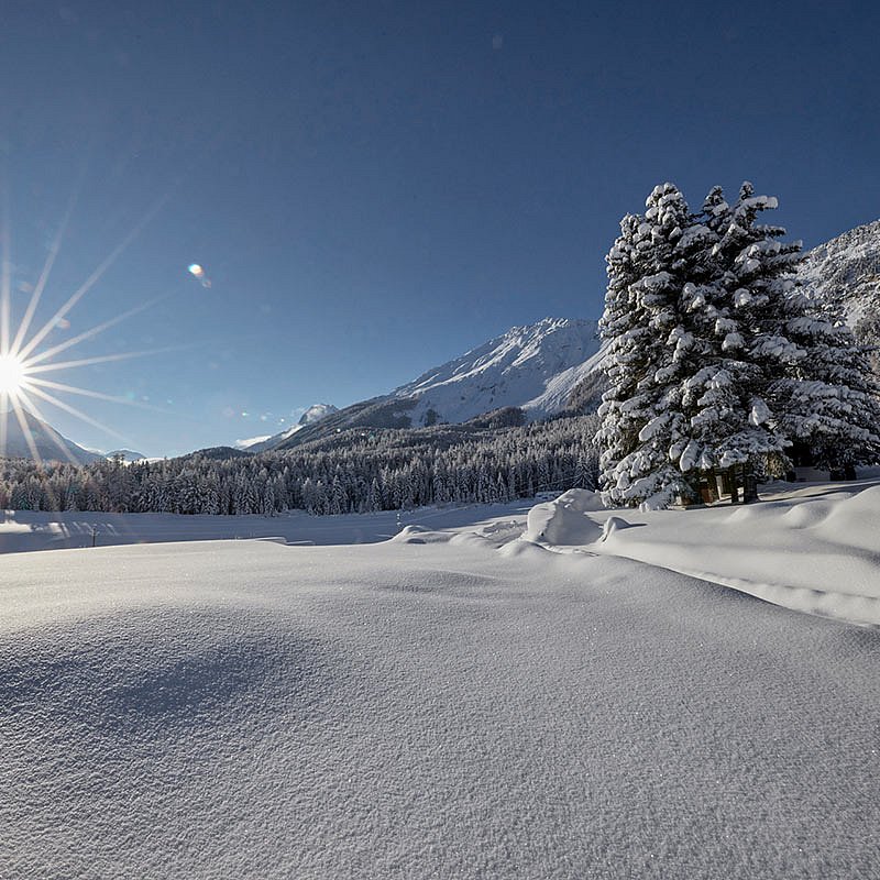 Mountain Moments – Ihr Wohlfühlapartment im Ötztal